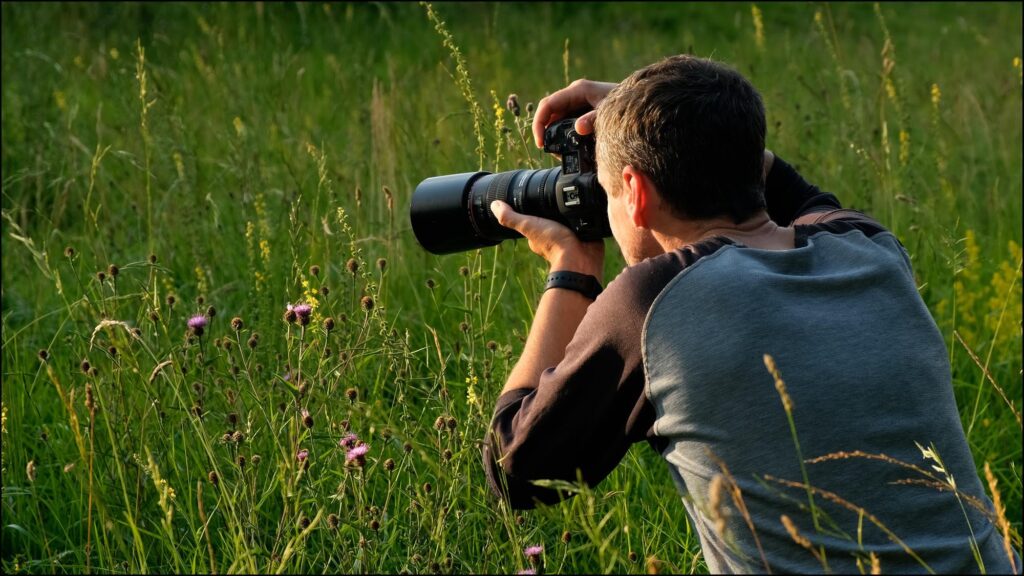 Macro Photography